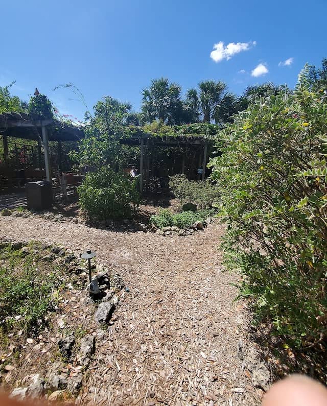 Crooked Garden - Image 2