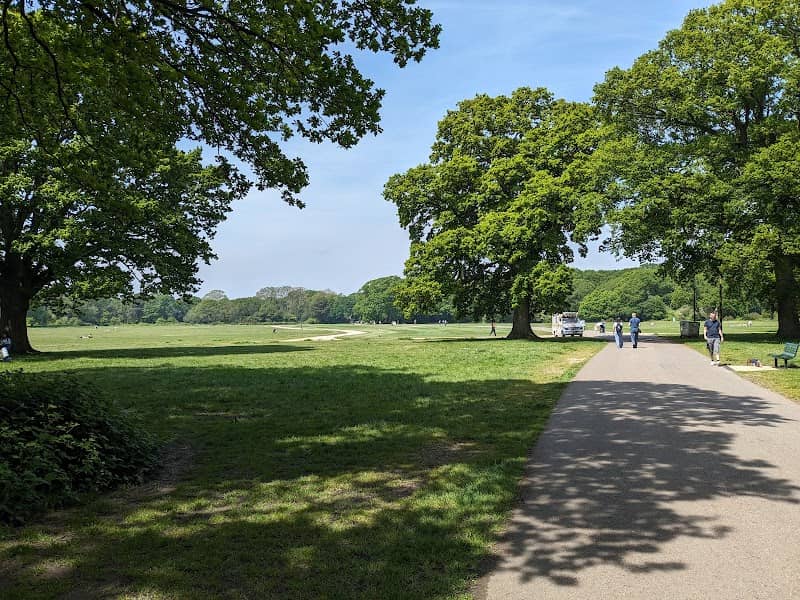Southampton Common - Image 1