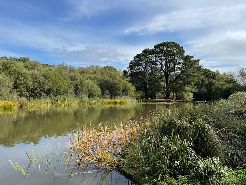 Southampton Common - Image 3