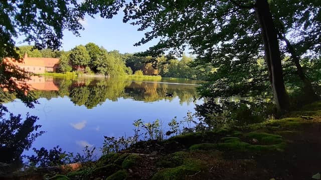 Ahauser Mühlenteich - Image 1