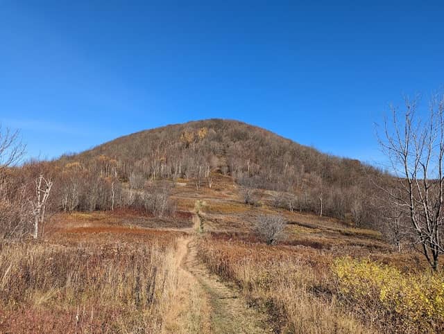 Mount Greylock State Reservation - Image 1