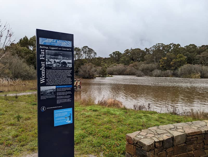 Wombat Flat Mineral Spring - Image 1
