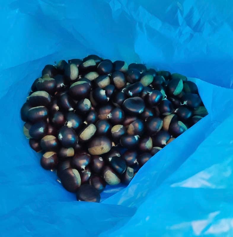 Castagne “Montevecchia” - Image 2