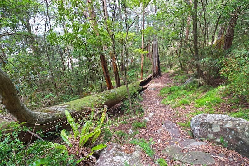 Mount Pleasant - Image 1