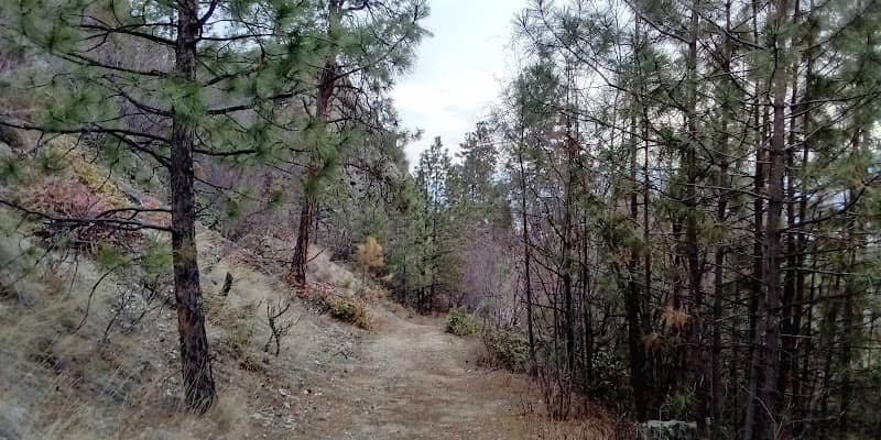 Mission Ridge Park - Image 2