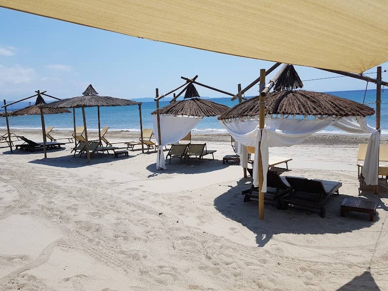 Pasha Glam Dog Beach - Image 1
