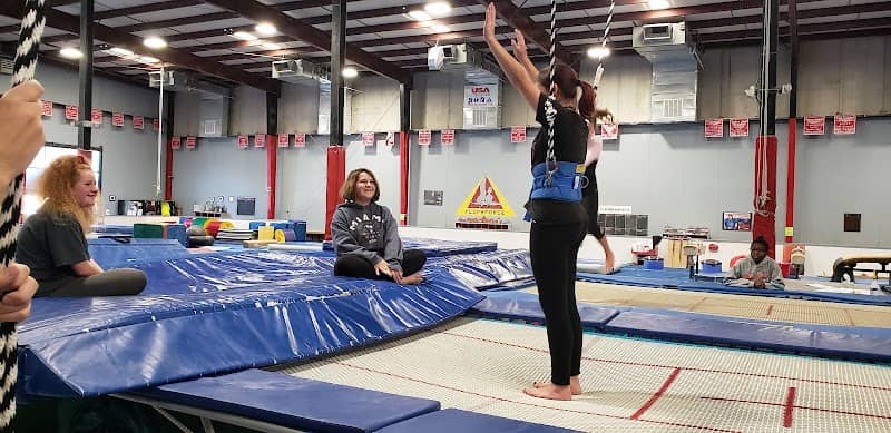 Flip Force Gymnastics - Image 2