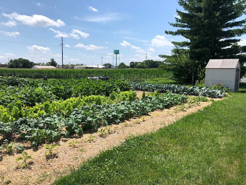Washington Food Pantry Garden - Image 2