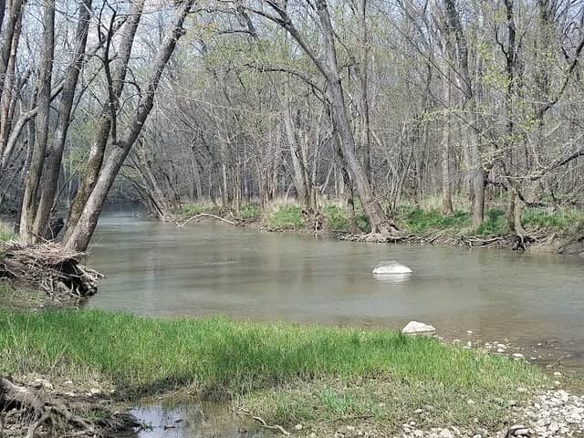 Randolph County Wildlife - Image 1