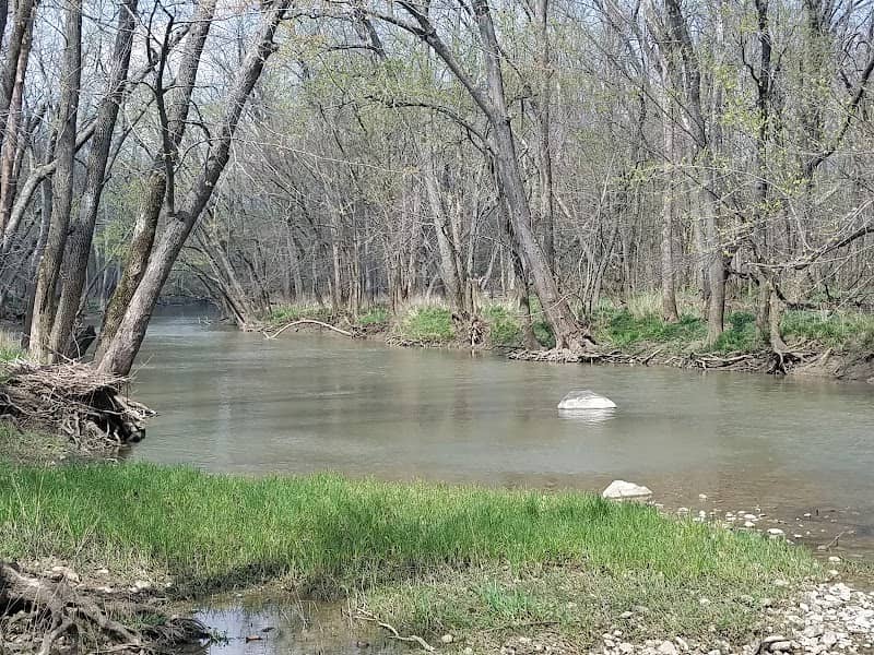 Randolph County Wildlife - Image 1