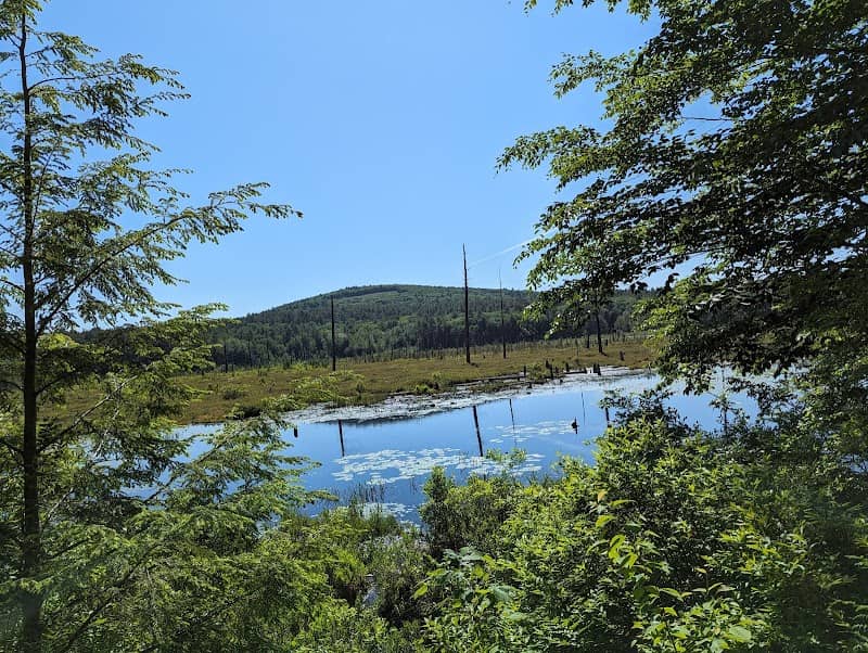 Fort Point Woods and Trask Swamp Trailhead - Image 1
