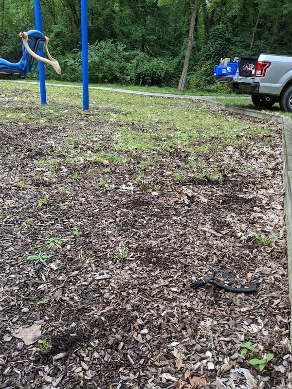 Evergreen Park - Image 2