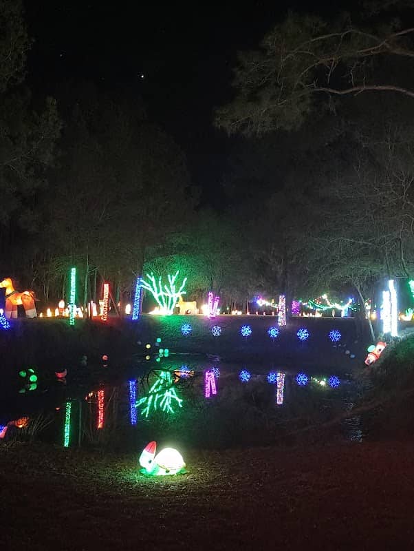 Strickland Christmas Drive Thru Light Display - Image 1