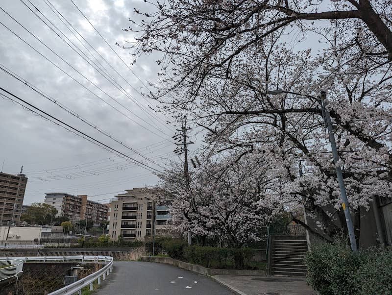 砂子谷新池 - Image 1