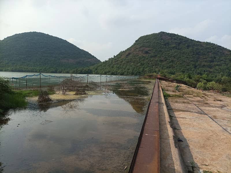 Check Dam - Image 1