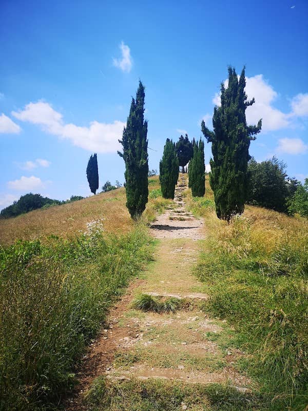 Collina dei cipressi - Image 1