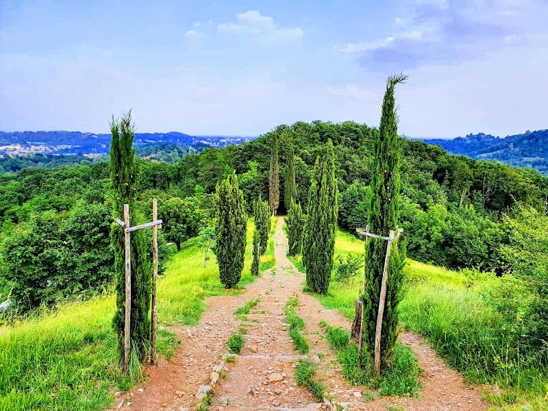 Collina dei cipressi - Image 2