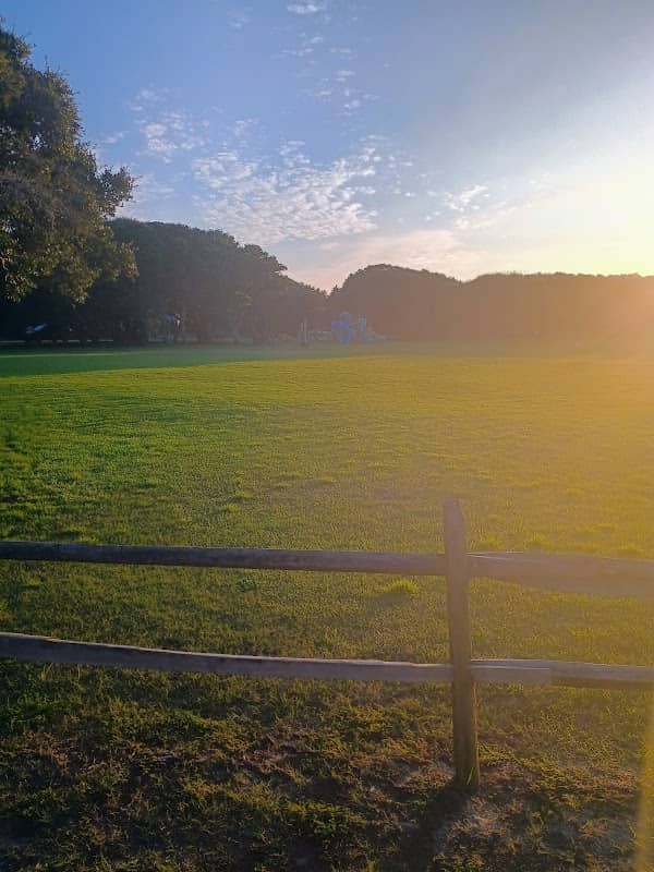 Hayman Park - Image 2
