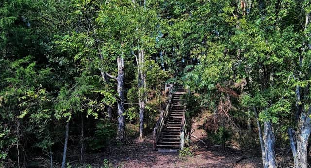 Ingomar Mounds - Image 2