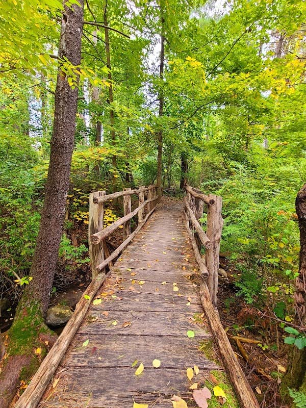 Lake Mansfield Beach and Conservation Forest Trails - Image 1