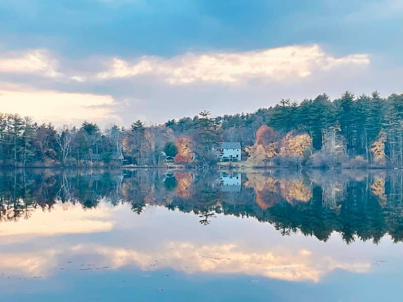 Lake Mansfield Beach and Conservation Forest Trails - Image 2