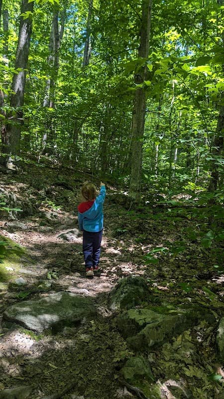 Marsh Loop Trail - Image 2