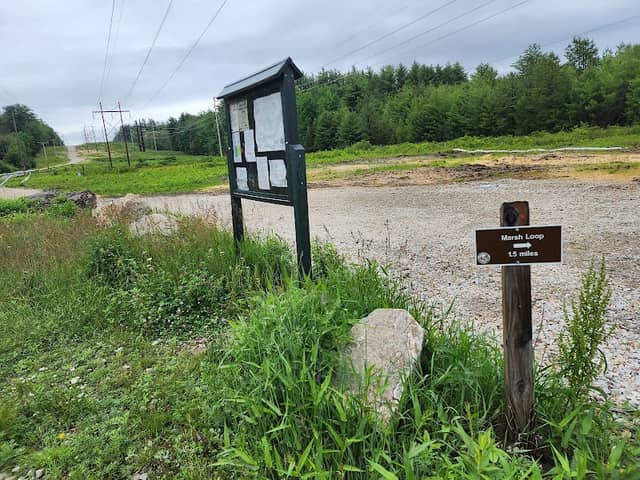 Marsh Loop Trail - Image 1