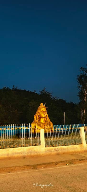 Vedvyas flyover bridge - Image 1