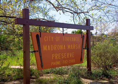 Madrona Marsh Preserve and Nature Center - Image 1