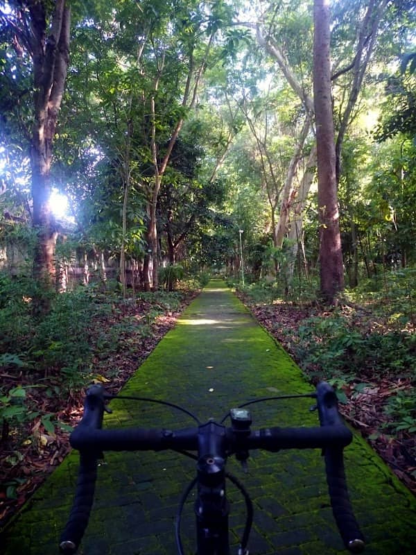 Hutan Kota Selong - Image 1
