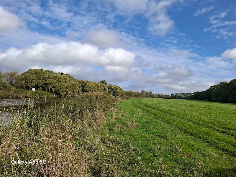 Above the weir at Nabbs Island - Image 1