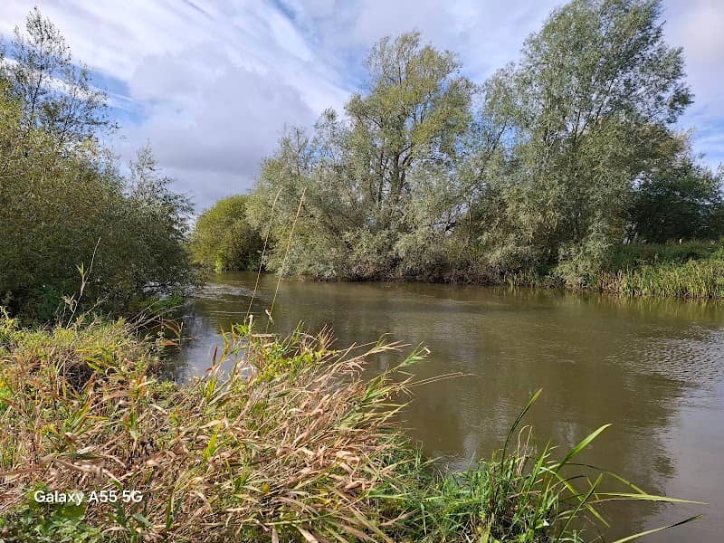 Above the weir at Nabbs Island - Image 2