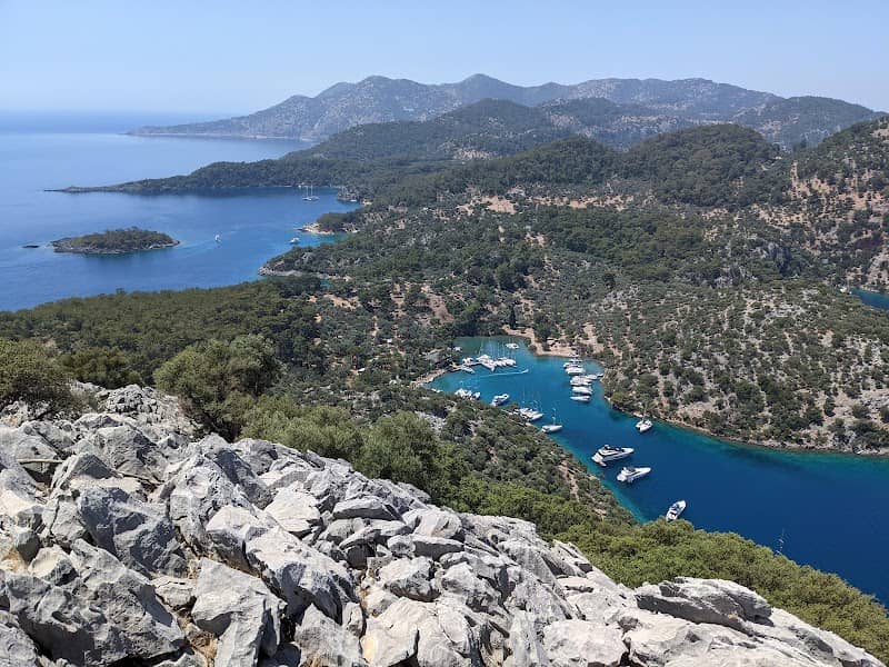 View point - Image 1