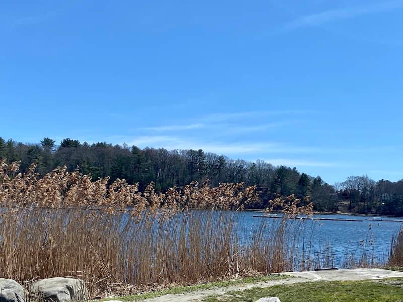 Scalloptown Park - Image 2