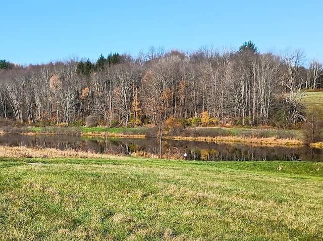 Lackawanna State Park Trostle Pond - Image 1