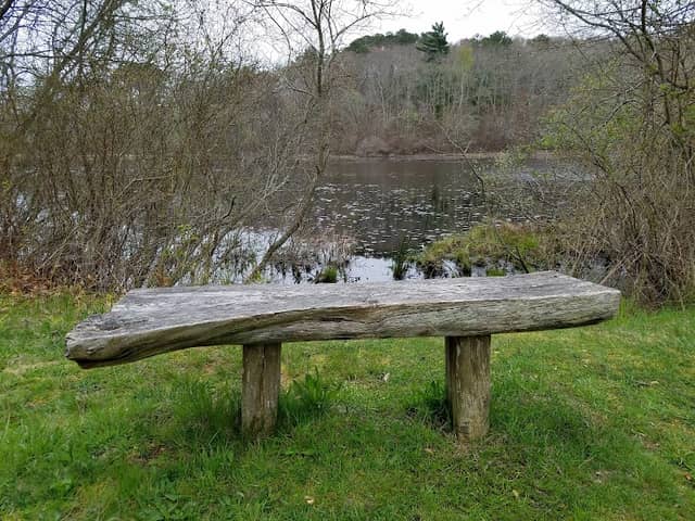 Nature Conservancy - Image 1