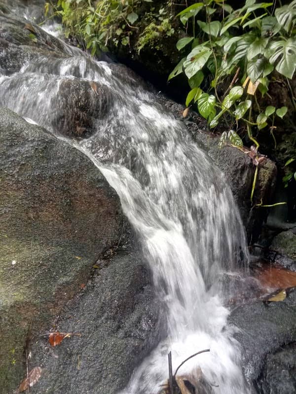Vayarakkad Waterfalls - Image 1