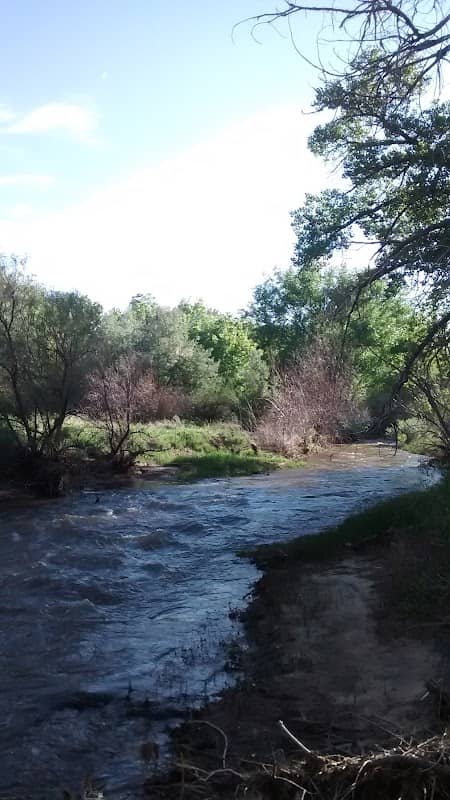 Fiesta Park - Image 3