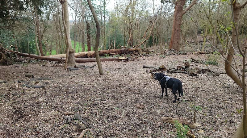 Woburn Park - Image 2