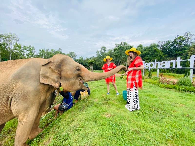 Elephant Fun Farm - Image 1