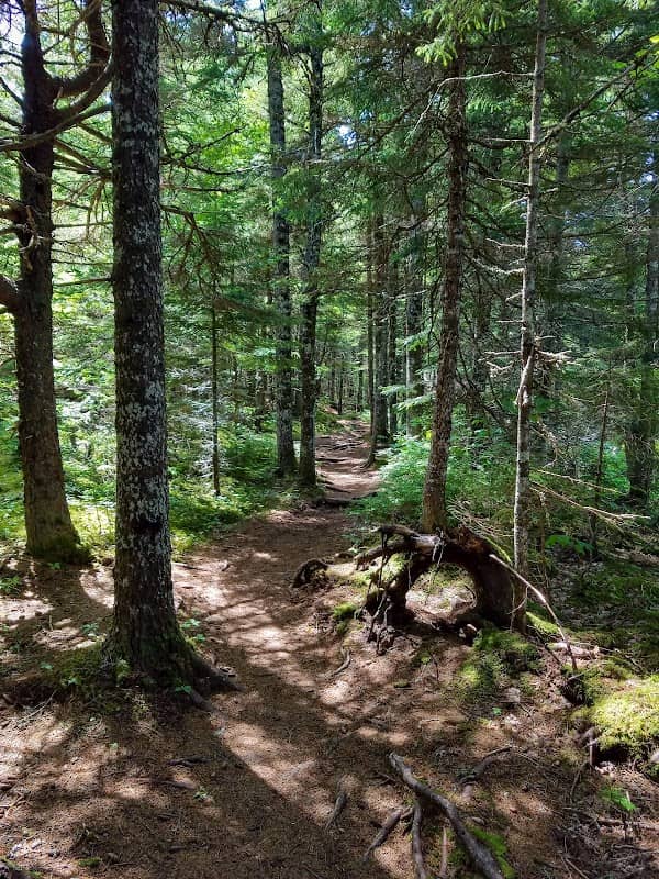 Moosehorn - Image 2