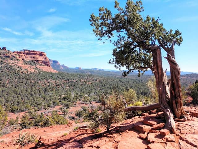 Boynton Canyon Trail - Image 3