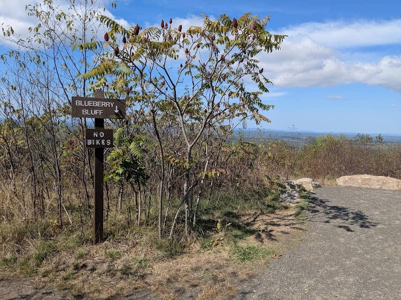 Mount Agamenticus Big A Accessible Trail - Image 3