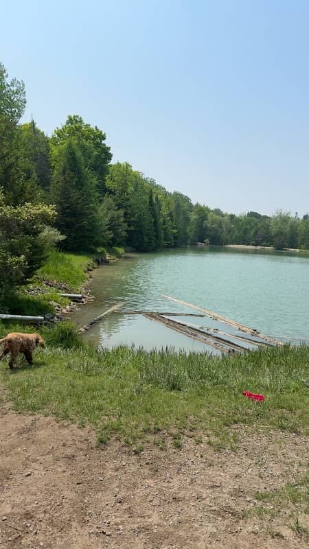 Simcoe County Forest Museum Tract - Image 1