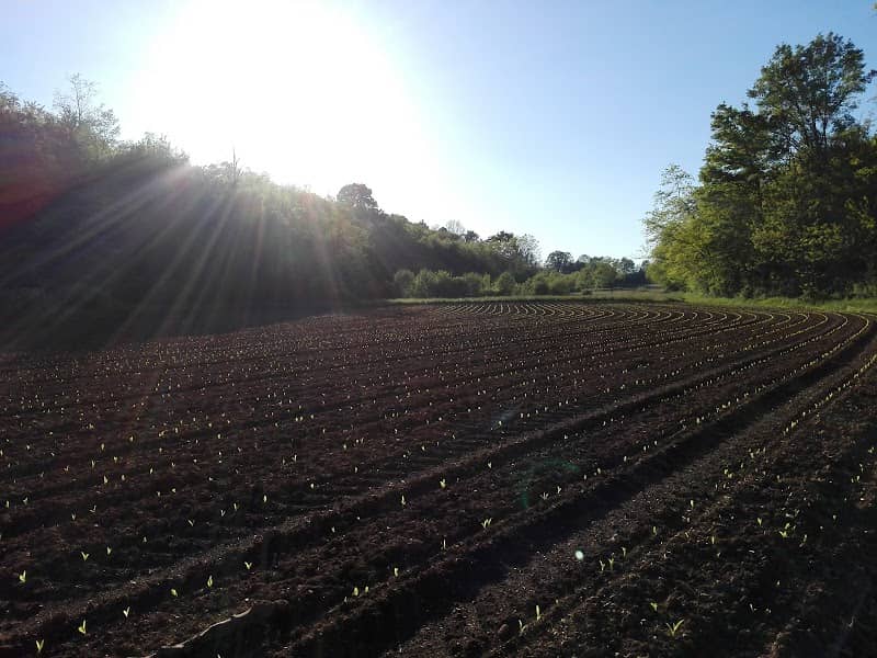 Parco dei Colli Briantei - Image 1