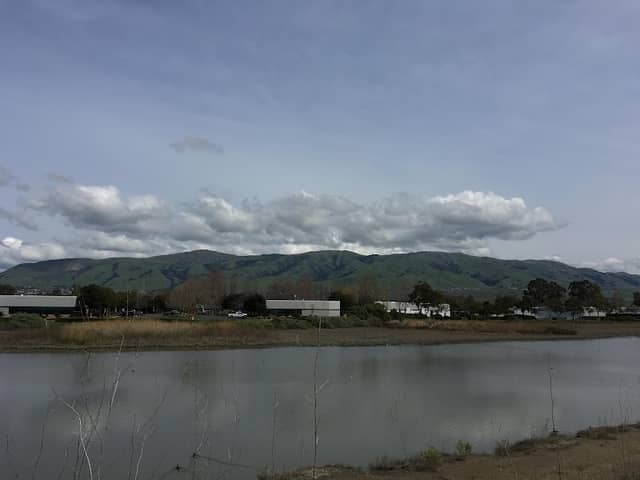 Coyote Creek Lagoon Trail - South - Image 2