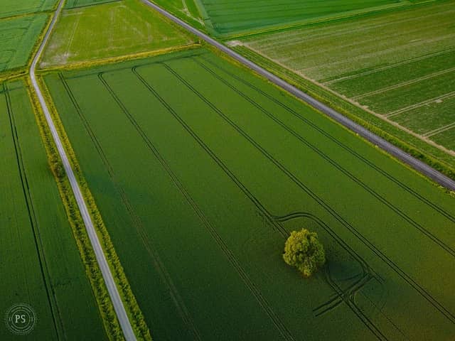 Lauseberg - Image 1