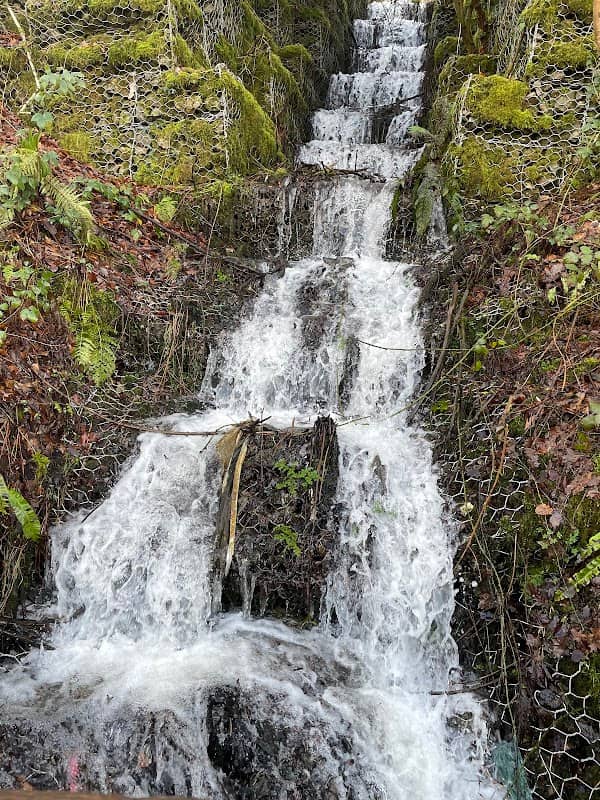 The Tramroad walk - Image 1