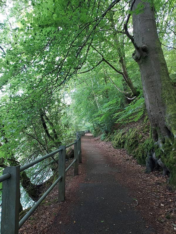 The Tramroad walk - Image 2