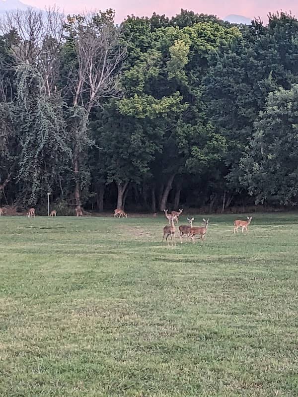Ash Creek Park - Image 2